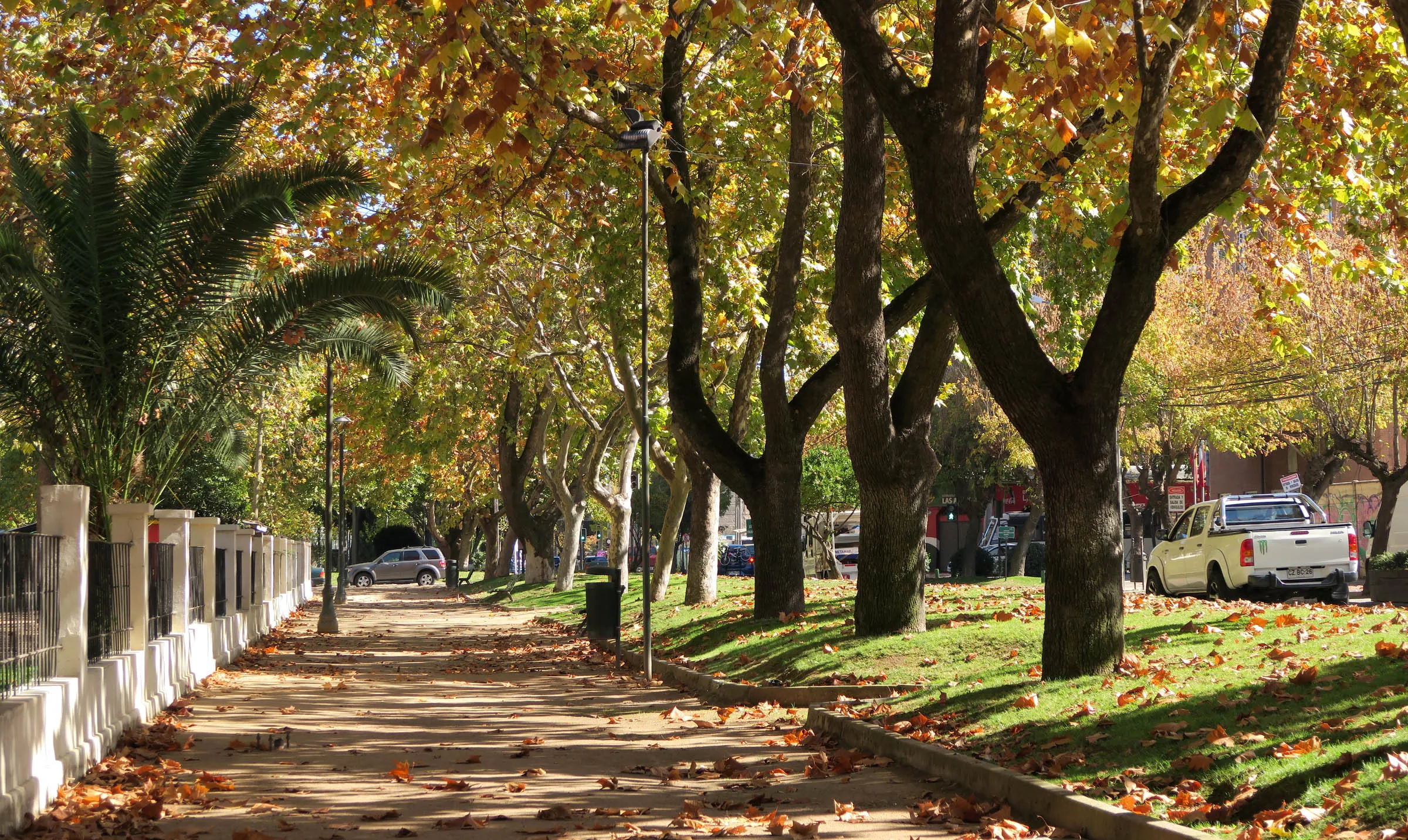 Alameda de Talca